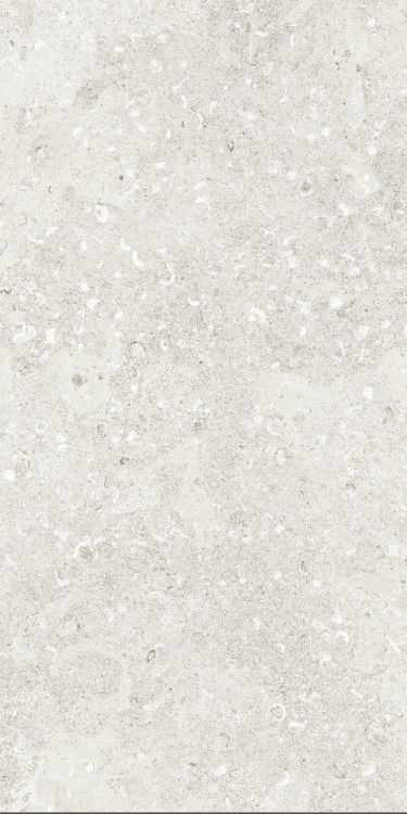 Sea Luster Bianca Matte 24 x 48